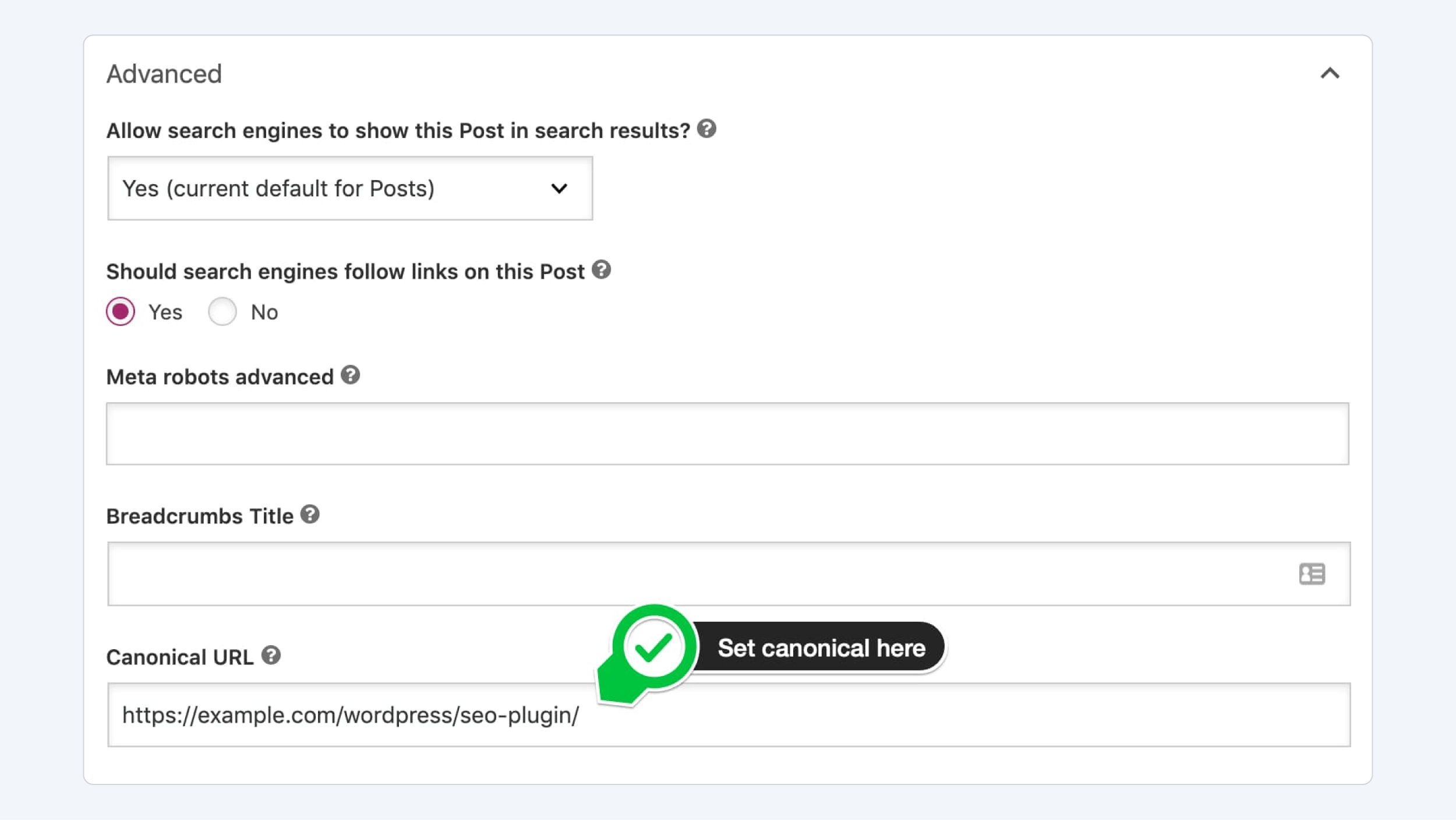 Duplicate content controls 